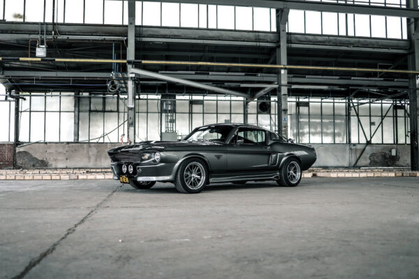 V8 Werk's ELI VI - 01
