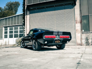 V8 Werk's ELI V - 02