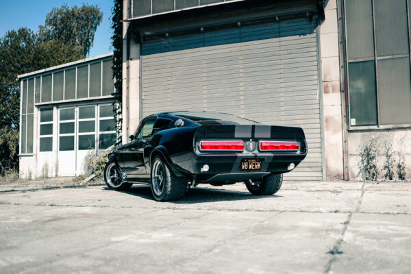 V8 Werk's ELI V - 02