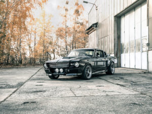 V8 Werk's ELI V - 06