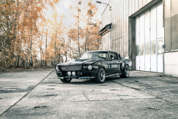 V8 Werk's ELI V - 06