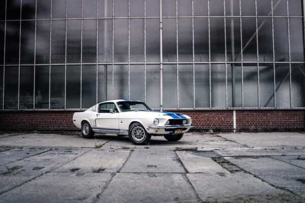 V8 Werk's 1967 Shelby GT 500 - 05