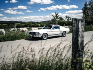 V8 Werk's 1967 Mustang Fastback - 04