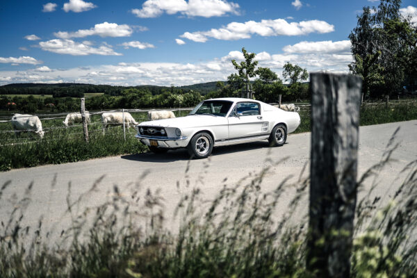 V8 Werk's 1967 Mustang Fastback - 04